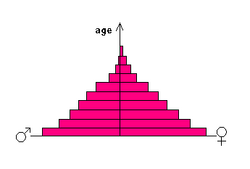 Population pyramid 1 (triangle)