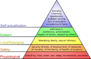 Pyramid diagram illustrating Maslow's theory of needs