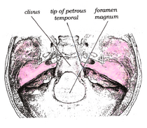 Clivus