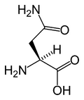 Chemical structure of Asparagine