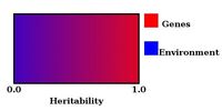 GxE-herit-fig1