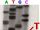 DNA sequencing