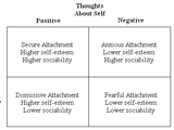 Attachment in adults