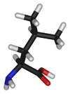 Chemical structure of Leucine