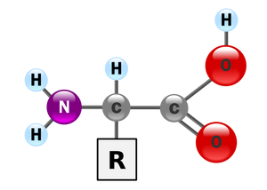 AminoAcidball