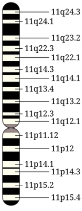 methemoglobinemia chromosome