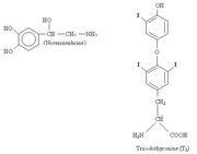 Amine hormones, norepinephrine and triiodothryonine