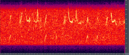 Humpback song spectrogram