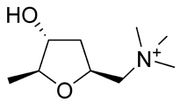 Muscarine structure