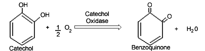 Catcechol-Quinone.GIF