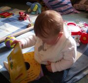 Baby exploring books