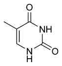 Chemical structure of thymine