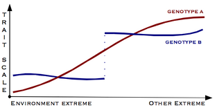 Trait-scale-bimodal