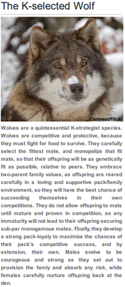 Wolves.png