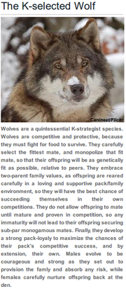 Wolves