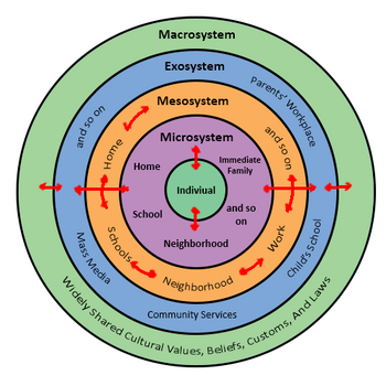 Urie Bronfenbrenners Bioecological Model