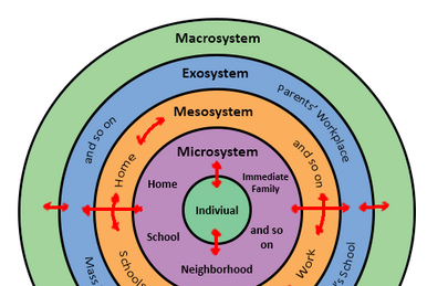 Abdomen:Muscles:Anterolateral abdominal muscles and aponeuroses, RANZCRPart1 Wiki