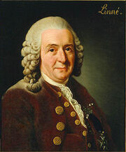 Carolus Linnaeus (cleaned up version)