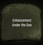 Enhancement Under the Sea