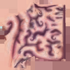 Second texture of the giant brain.