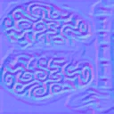 Cdcf8d7e.png (23 KB) Brain normal map.