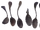 Spoons