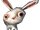 Dream Bunny