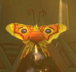 https://static.wikia.nocookie.net/psychonauts/images/c/c9/Moth_scrubbed.png/revision/latest/scale-to-width-down/250?cb=20210903025421