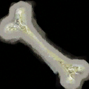 Texture sheet for the dinosaur bone.