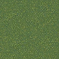 Grass texture.