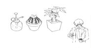Official - Gino 9.jpg (103 KB) Ginoza's plants