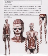 The Official Profiling Book