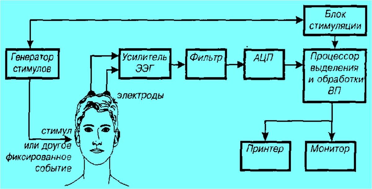 Структурная блок схема приборов для регистрации биопотенциалов