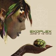 Ekoplex-journey-of-the-turtle-300x297