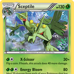 Shop, Pokemon TCG Online Wiki