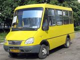 Рута, автобуси