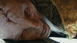 Snoke Corpse