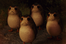 A verdadeira origem do Porg, o mais novo personagem de Star Wars - Conexão  Planeta