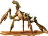 Legends:Acklay