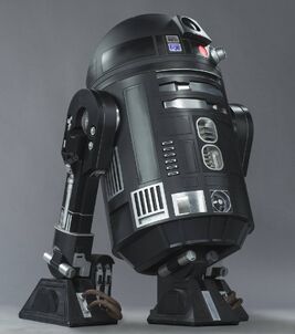 C2-B5