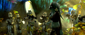Aayla morte
