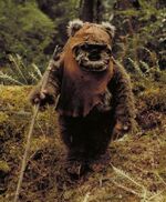 Wicket rotj