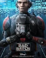 Poster Echo - The Bad Batch BR