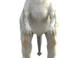 Tauntaun
