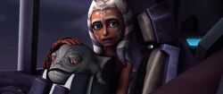 Ahsoka and stinky