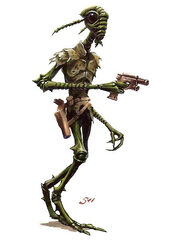 Verpine2.0