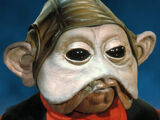 Nien Nunb