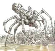 230px-KnobbyWhiteSpider-wswfg