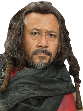 Baze Malbus EW