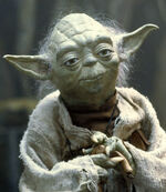 Mestre Yoda em .